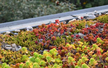 the cost of Upper Chapel green roof installation