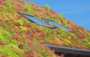 Upper Chapel living roof systems